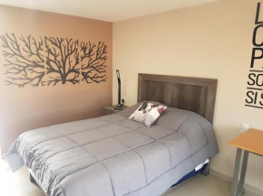 S05 DE CASONA TRES SUITES PREMIUM INCREÍBLES ITESM CEM S05
